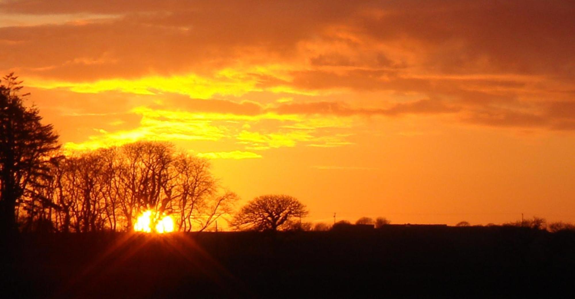 Bed and Breakfast The Paddock Haverfordwest Exteriér fotografie